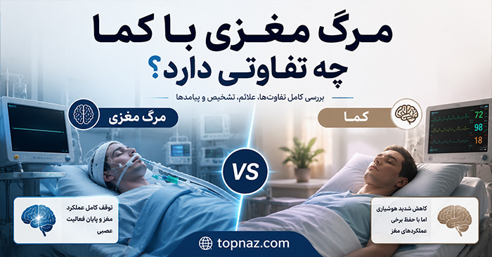 مرگ مغزی با کما چه تفاوتی دارد؟؛ مقایسه هوشیاری و عملکرد مغز؛ آیا امکان بازگشت وجود دارد؟