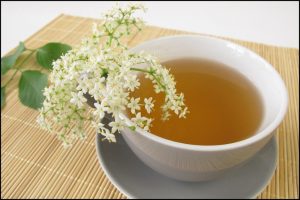 چای سفید باعث لاغری و کاهش وزن می شود؟ چای سفید باعث لاغری و کاهش وزن می شود؟