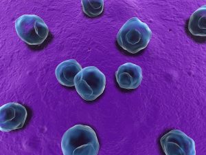 بیماری جنسی کلامیدیا chlamydia چیست و چگونه درمان می شود؟ بیماری جنسی کلامیدیا chlamydia چیست و چگونه درمان می شود؟