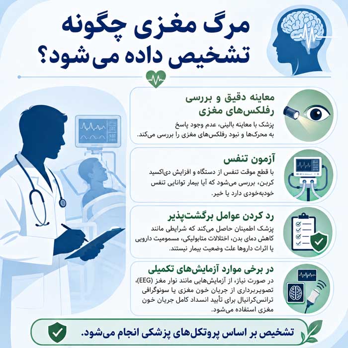 مرگ مغزی چگونه تشخیص داده می‌شود؟