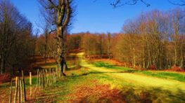 کلاردشت شهر بهشتی شمالی ، راهنمای سفر به کلاردشت در مازندران