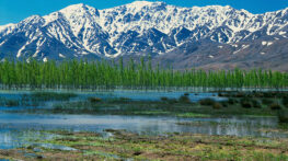 سفر به تالاب گندمان و نگاهی به این تالاب زیبا