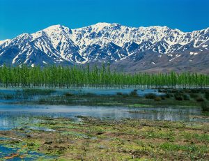 سفر به تالاب گندمان و نگاهی به این تالاب زیبا