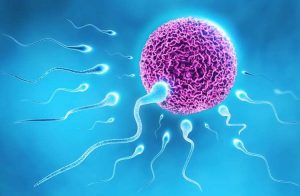 آیا احتمال بارداری با آب پیشاب قبل از منی و انزال وجود دارد؟ آیا احتمال بارداری با آب پیشاب قبل از منی و انزال وجود دارد؟