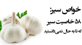 آشنایی با تمام خواص معجزه آسای سیر که تا بحال نمیدانستید!