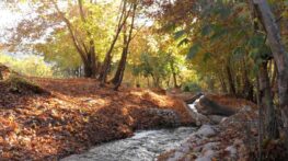 در سفر به یاسوج به این مکان های دیدنی و زیبا بروید