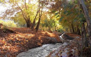در سفر به یاسوج به این مکان های دیدنی و زیبا بروید در سفر به یاسوج به این مکان های دیدنی و زیبا بروید