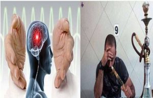 کشیدن قلیان باعث سکته مغزی می شود کشیدن قلیان باعث سکته مغزی می شود