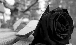 نحوه برخورد با افراد سوگوار و عزادار باید چگونه باشد؟