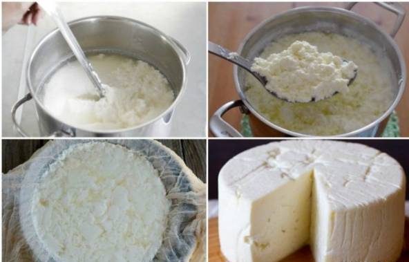 طرز تهیه پنیر خانگی با روشی آسان و سریع