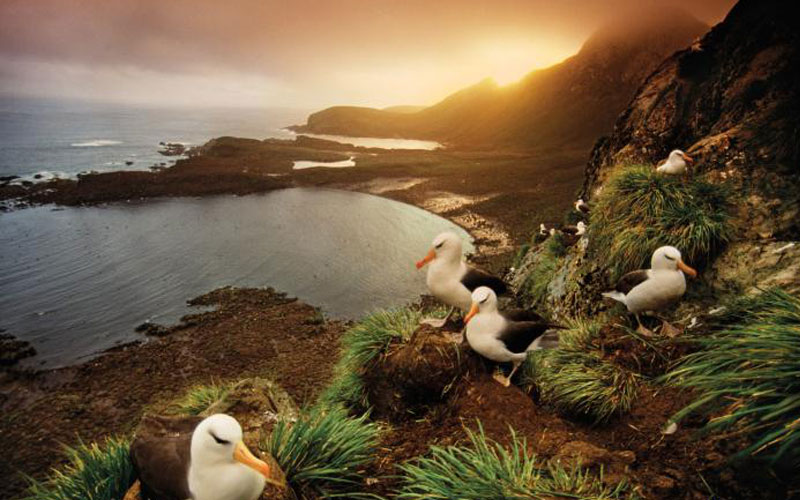 نگاهی به زیباترین طبیعت های وحشی دنیا