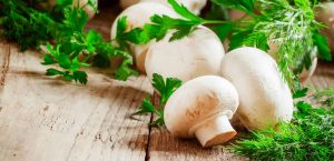 آشنایی با 10 خاصیت شگفت انگیز قارچ خوشمزه آشنایی با 10 خاصیت شگفت انگیز قارچ خوشمزه
