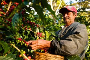 هندوراس اطلاعاتی در مورد این کشور و مکان های گردشگری آن