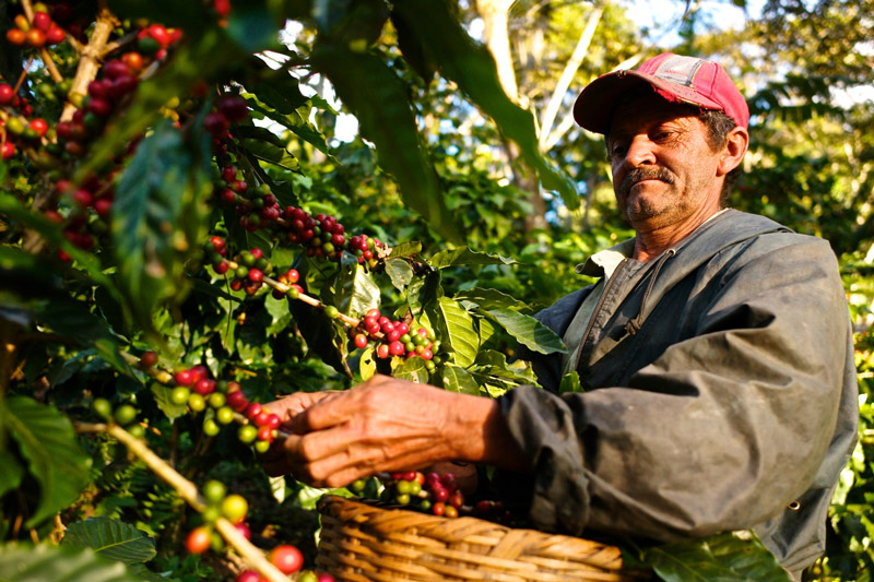 هندوراس اطلاعاتی در مورد این کشور و مکان های گردشگری آن