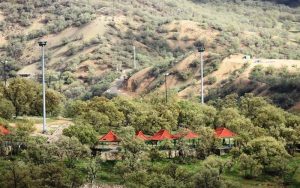 نگاهی به پارک جنگلی یاسوج بزرگترین پارک جنگلی در جنوب کشور
