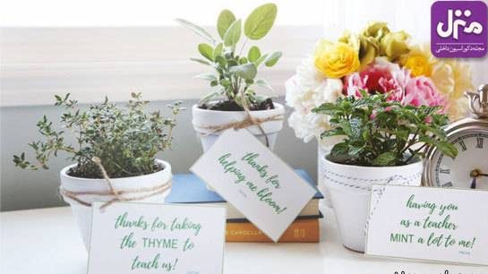 بهترین دکوراسیون منزل مناسب زنان باردار