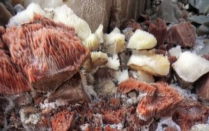 تونل نمکی گرمسار جاذبه ای دیدنی برای طبیعت دوستان