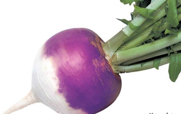 استفاده از شلغم برای تقویت قوای جنسی مردان