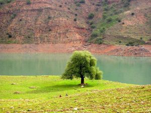 مسجد سلیمان؛ دیدنی های زیبای شهر مسجد سلیمان MIS