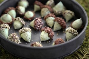 طرز تهیه کوکی های زیبای بلوطی طرز تهیه کوکی های زیبای بلوطی