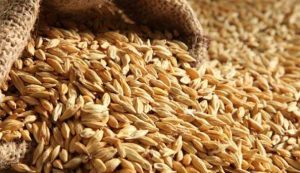 روش های خانگی برای تشخیص بارداری