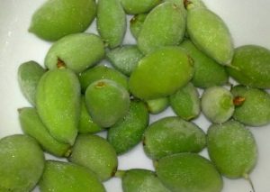 چغاله بادام برای افراد باردار مناسب است؟