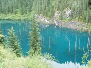 دریاچه ای عجیب با درختان وارونه در قزاقستان