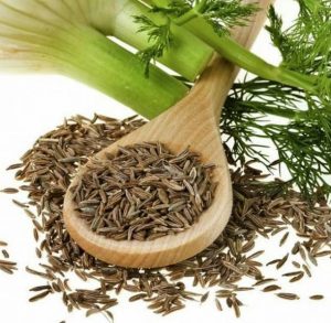 روش های درست استفاده از رازیانه برای رسیدن به لاغری