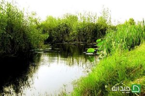 7 مکان کمتر شناخته شده در ایران که باید ببینید + تصاویر