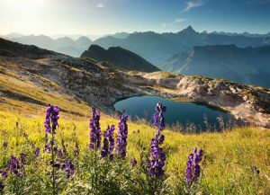 طبیعت گردی در اوکراین
