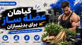گیاهان عضله ساز برای بدنسازان که حاوی پروتئین هستند؛ مقدار پروتئین و نحوه مصرف؛ مناسب افزایش حجم و ریکاوری گیاهان عضله ساز برای بدنسازان