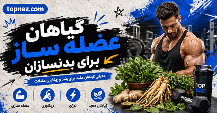 گیاهان عضله ساز برای بدنسازان که حاوی پروتئین هستند؛ مقدار پروتئین و نحوه مصرف؛ مناسب افزایش حجم و ریکاوری
