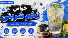 خواص تخم شربتی؛ ارزش غذایی و فواید احتمالی؛ روش مصرف، تفاوت با چیا و عوارض خواص تخم شربتی