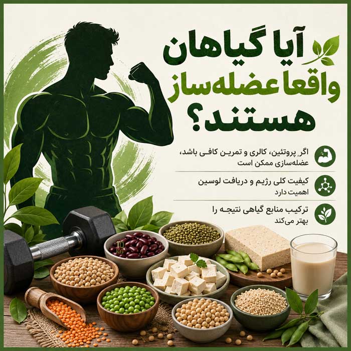 آیا گیاهان واقعاً عضله‌ساز هستند؟