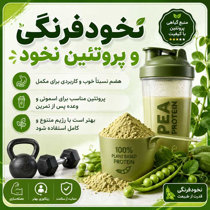 نخودفرنگی و پروتئین نخود