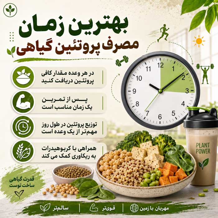 بهترین زمان مصرف پروتئین گیاهی