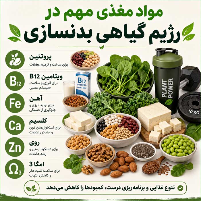 مواد مغذی مهم در رژیم گیاهی بدنسازی