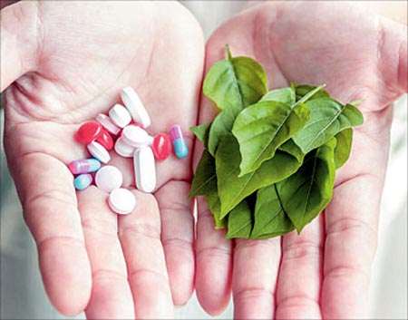 معرفی مسکن های گیاهی طبیعی به جای ضد دردهای شیمیایی 