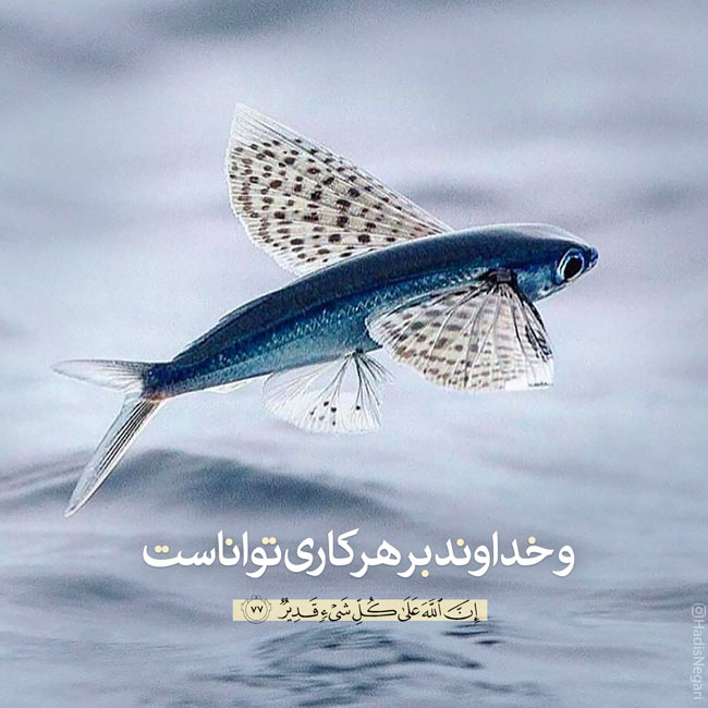 عکس نوشته های زیبا از آیات قرآن برای عکس پروفایل