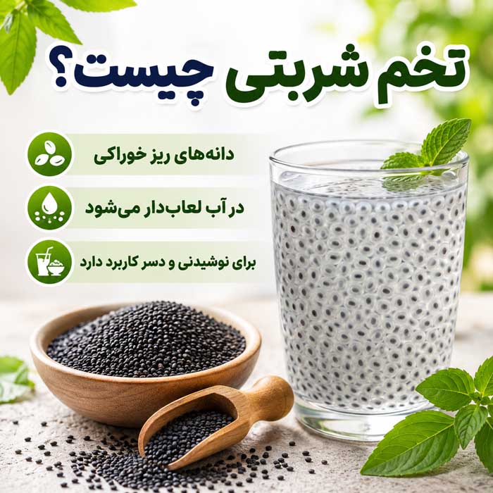 تخم شربتی چیست؟