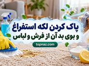 پاک کردن لکه استفراغ از فرش و لباس؛ روشهای ایمن و کاربردی پاک کردن لکه استفراغ از فرش و لباس؛ روشهای ایمن و کاربردی