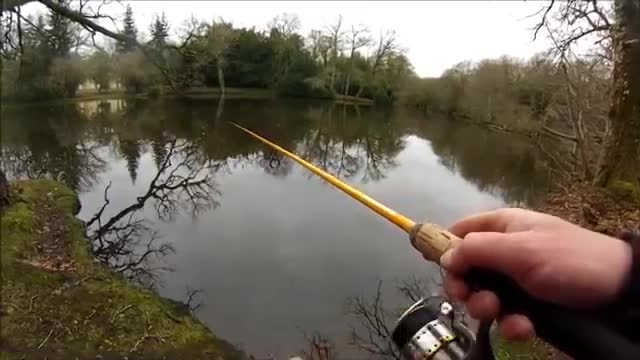 تعبیر خواب گرفتن ماهی