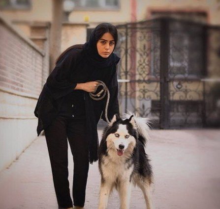 نازنین کیوانی نازنین کیوانی