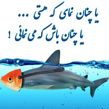 عکس پروفایل صداقت