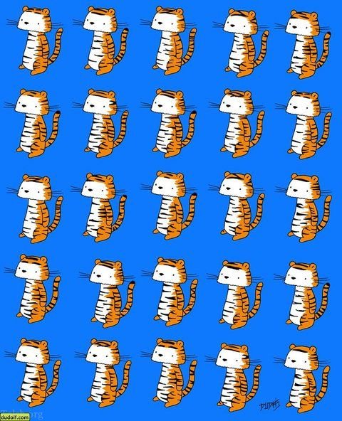 معمای تصویری