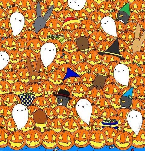 معمای تصویری