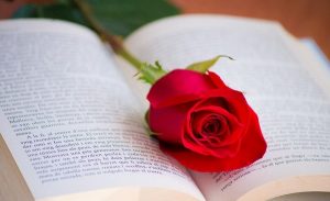 تک بیتی عاشقانه؛ زیباترین شعرهای تک بیتی رمانتیک و زیبا از شاعران بزرگ