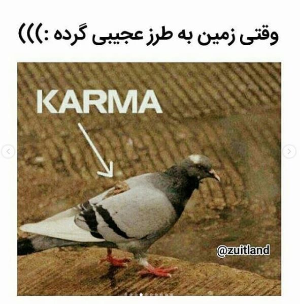 عکس های خنده دار + متن های طنز و خنده دار اینستاگرامی و نوشته های طنز