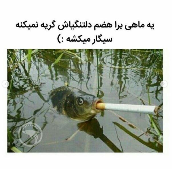 عکس های خنده دار + متن های طنز و خنده دار اینستاگرامی و نوشته های طنز