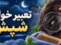 تعبیر خواب شپش؛ معنی دیدن شپش در خواب و شپش در سر تعبیر خواب شپش